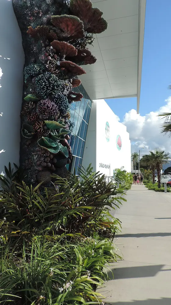 Cairns Aquarium, Cairns City