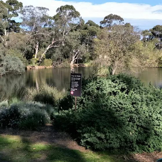 Wittunga Botanic Gardens, Blackwood