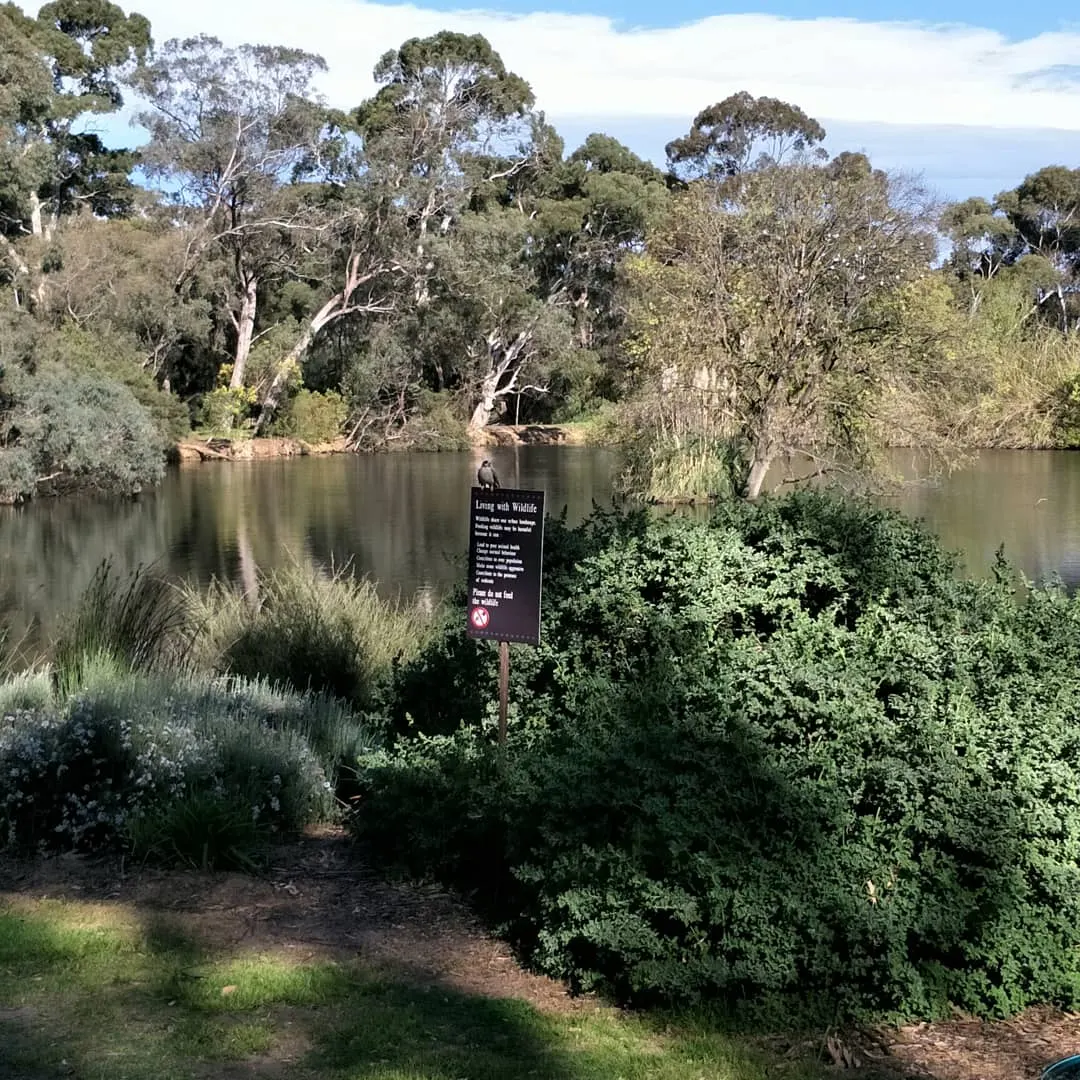 Wittunga Botanic Gardens, Blackwood