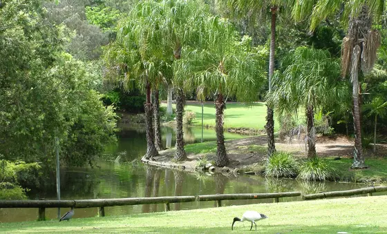 Hervey Bay Botanic Gardens, Urangan