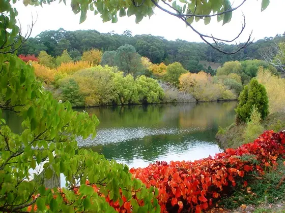 Mount Lofty Botanic Garden, Crafers