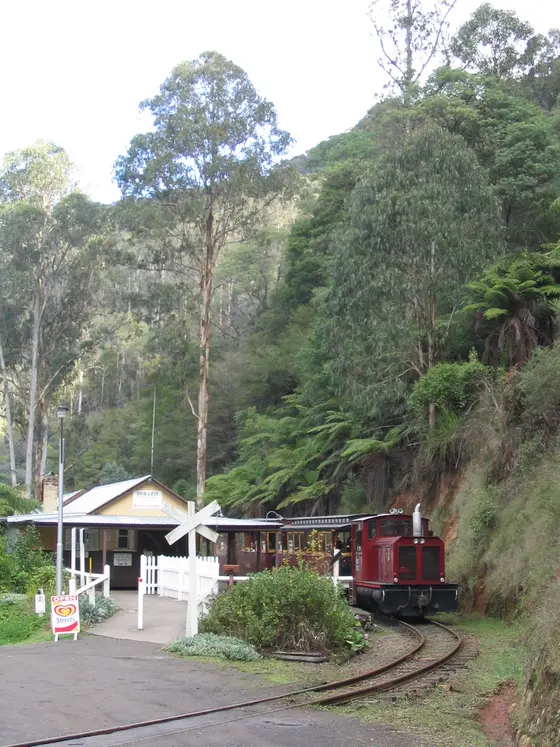 Walhalla Goldfields Railway, Walhalla