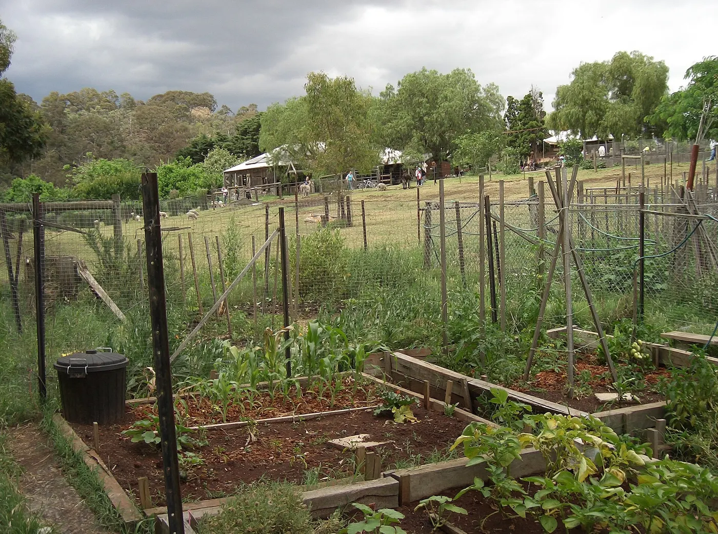 Collingwood Children's Farm, Abbotsford