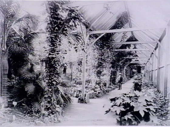 Geelong Botanic Gardens, East Geelong