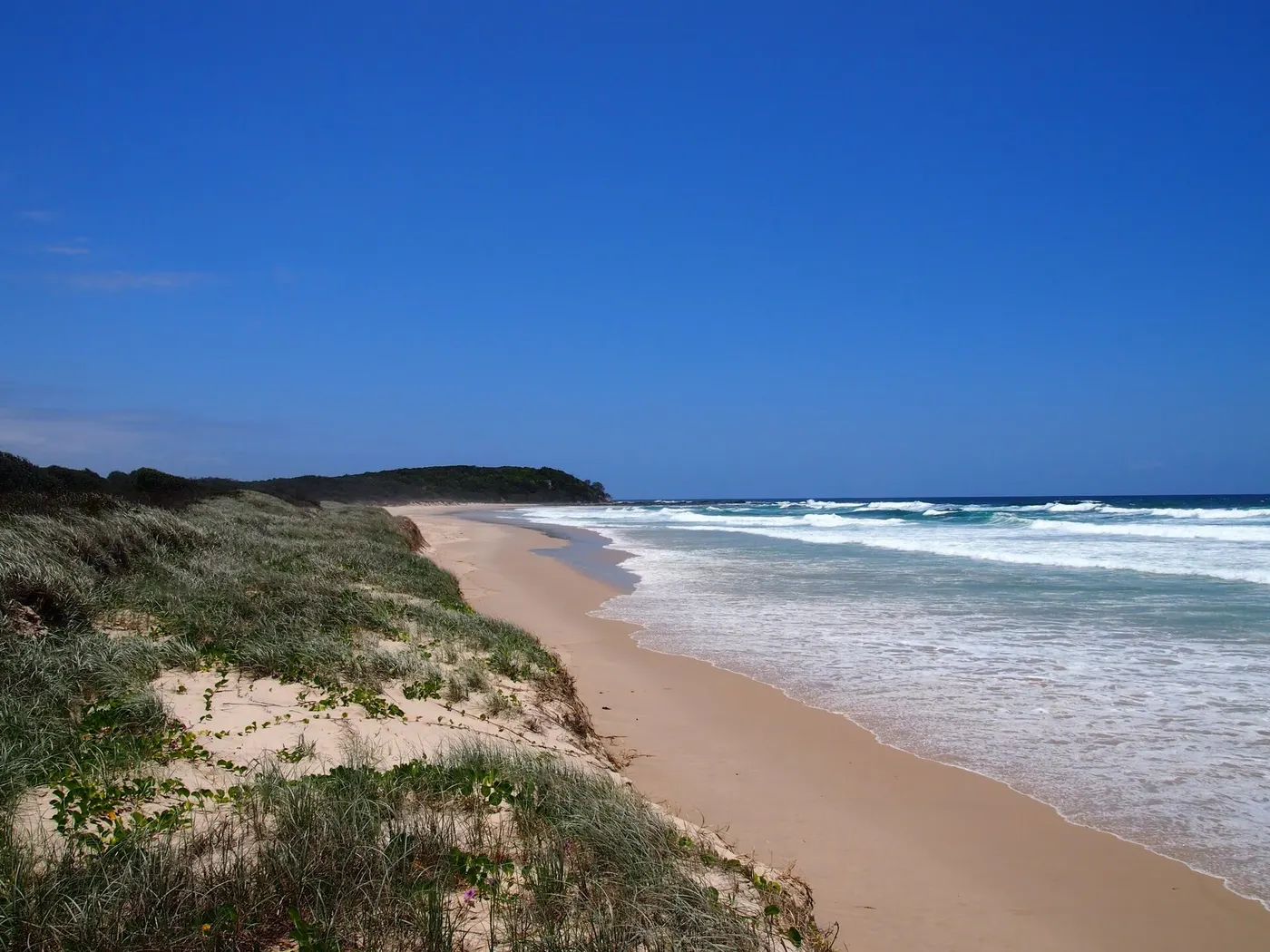 Back Beach, Woody Head