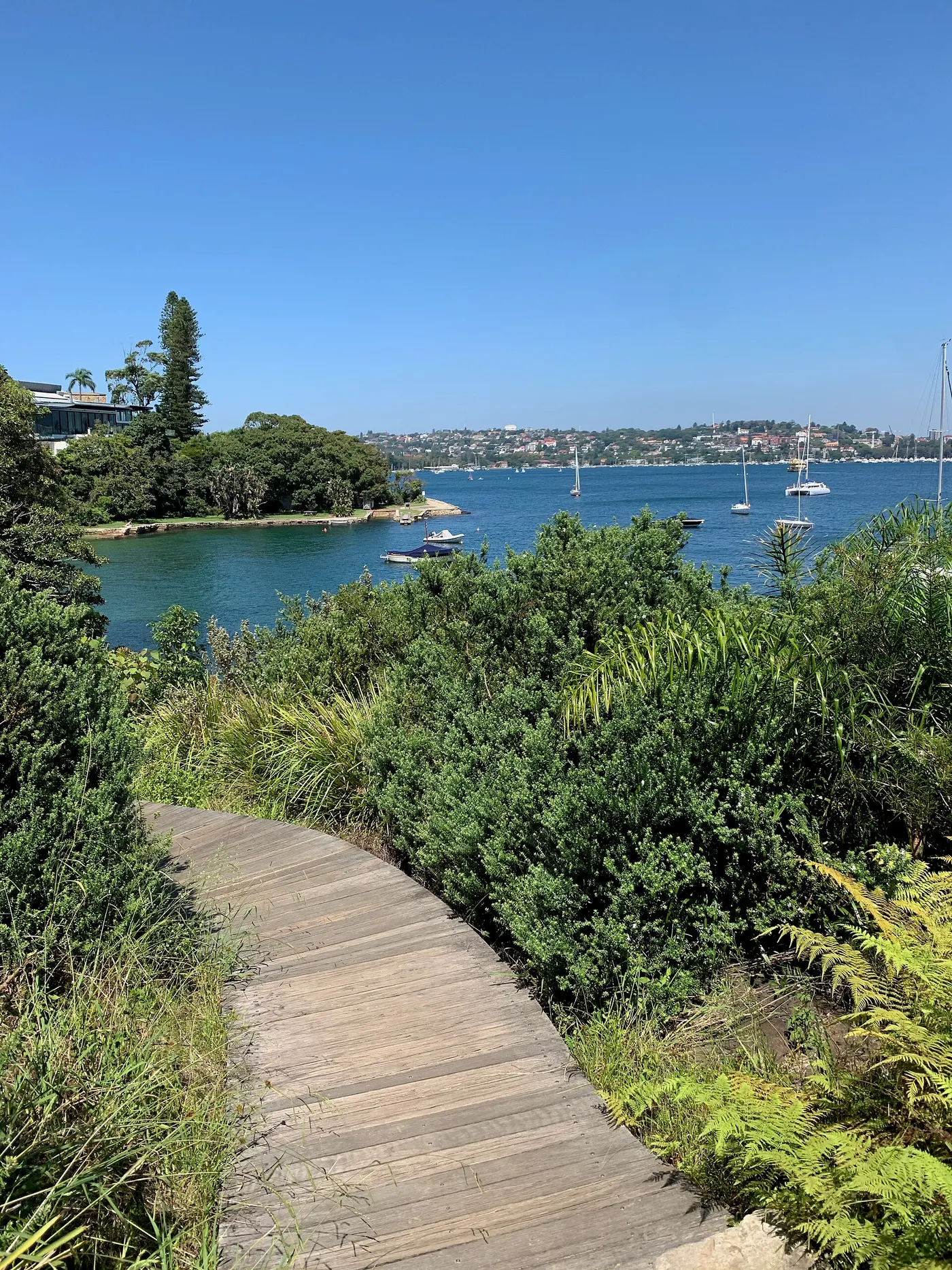 Tingara Beach, Vaucluse
