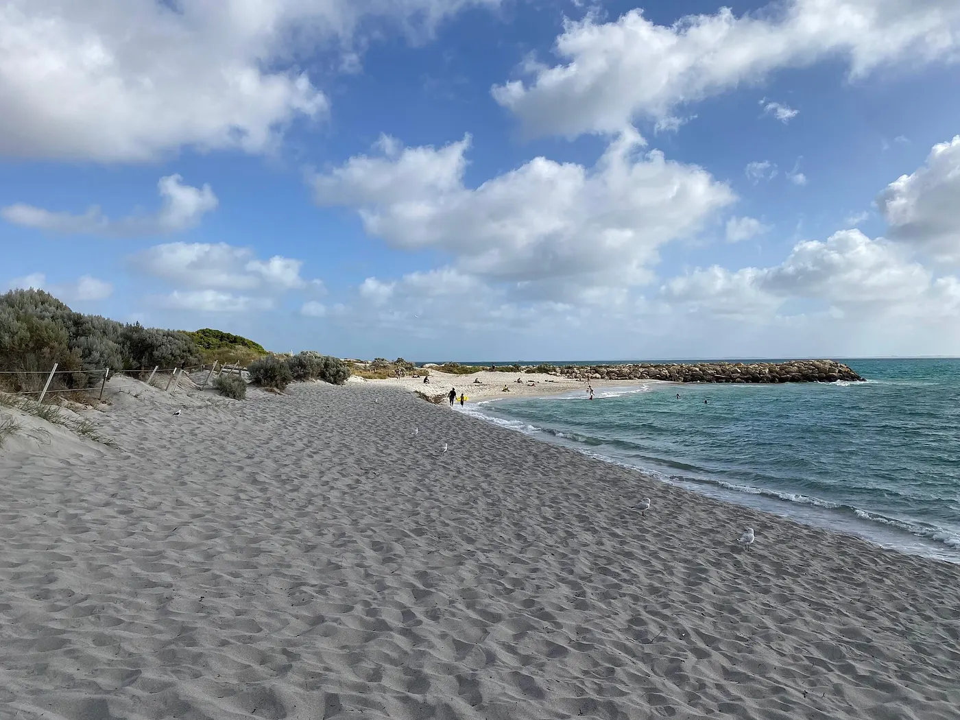 South Fremantle Dog Beach, South Fremantle
