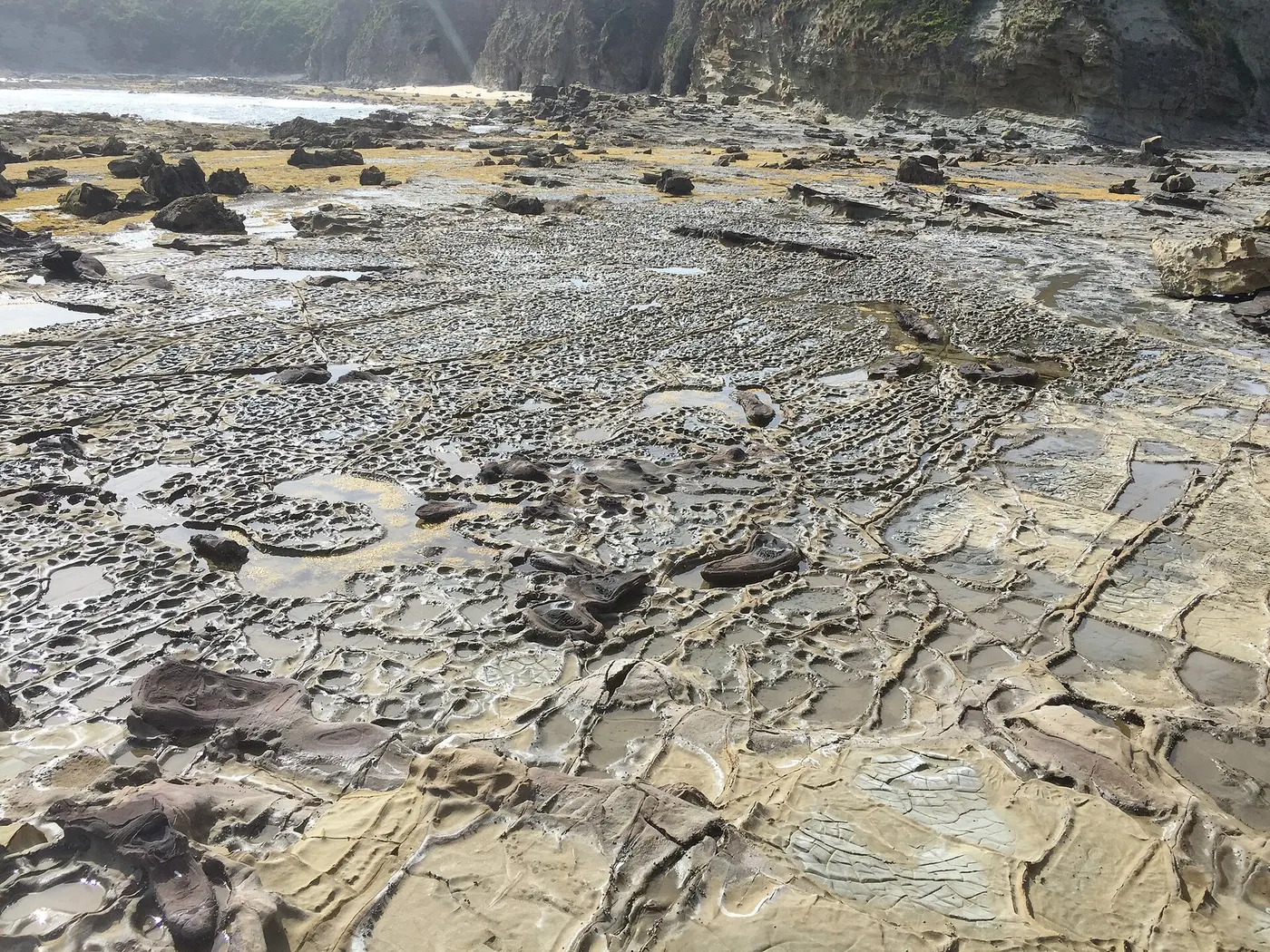 Shack Bay, Cape Paterson