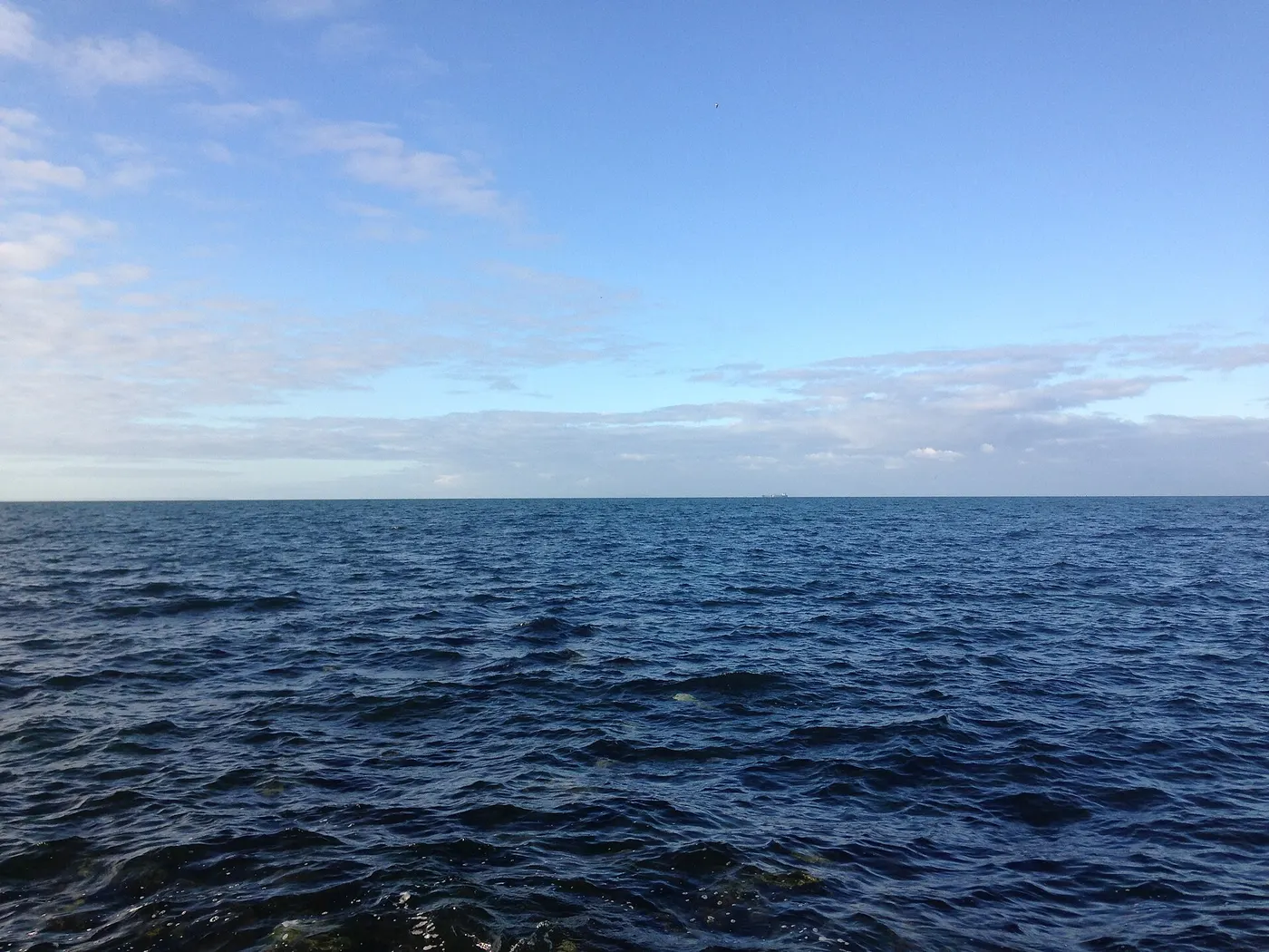 Williamstown Beach, Williamstown