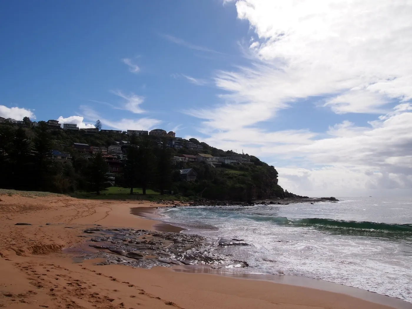 Whale Beach, Whale Beach