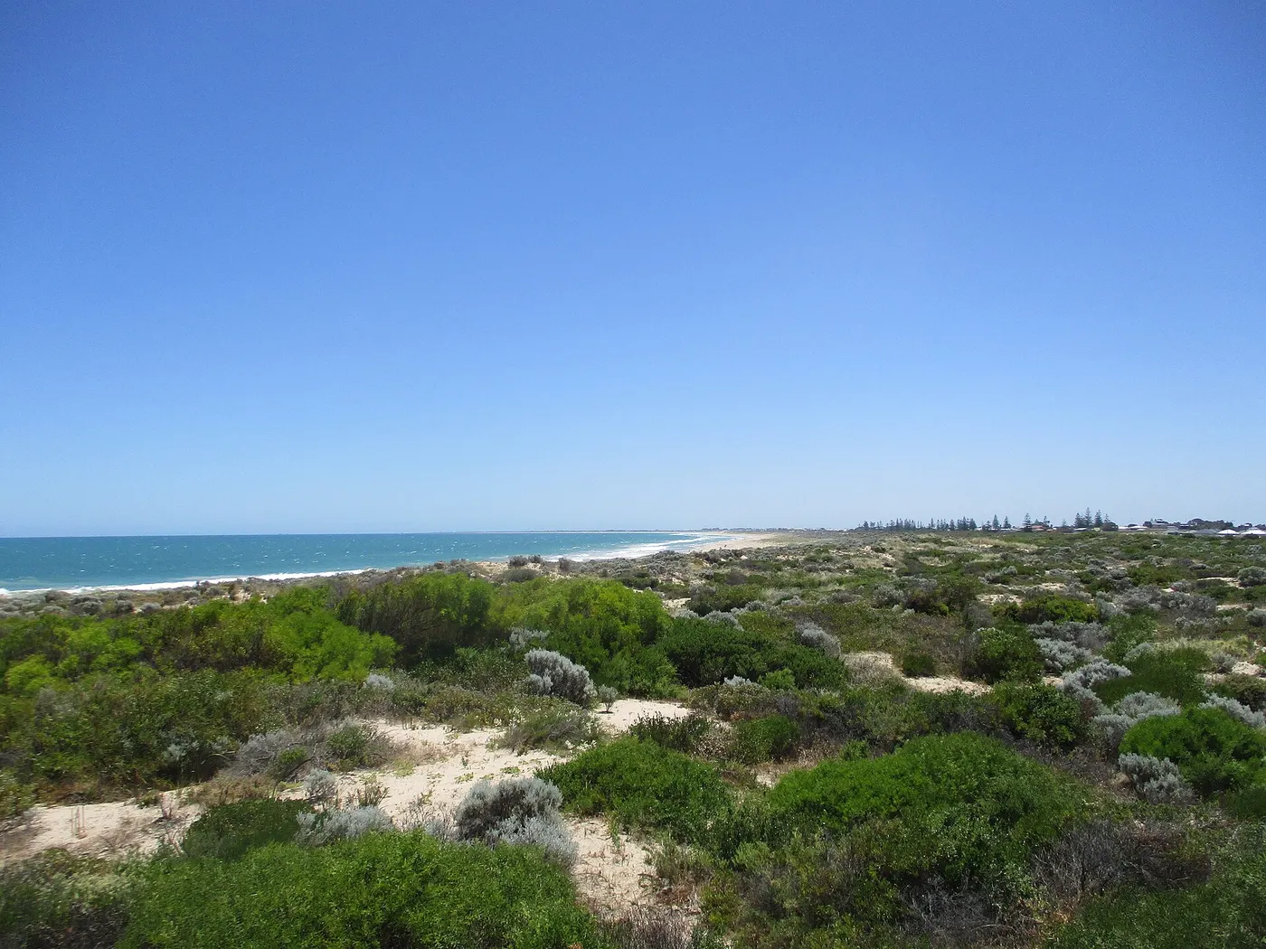 Singleton Beach, Singleton
