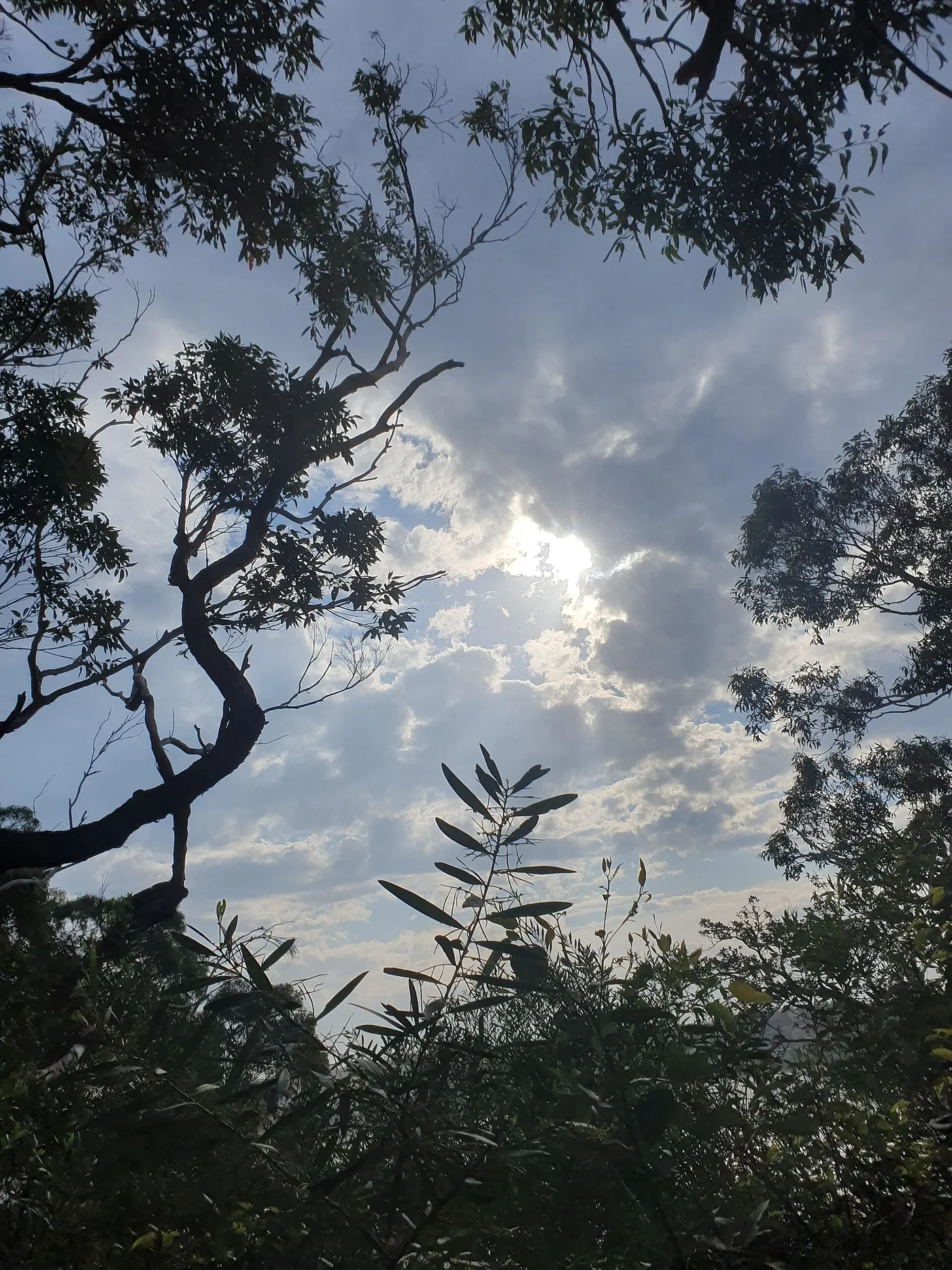 Cobblers Beach, Mosman