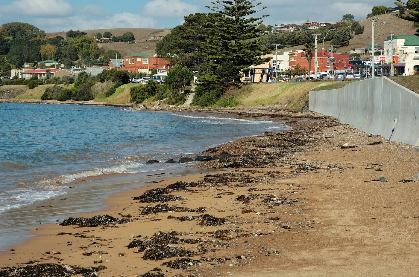 Penguin Beach, Penguin