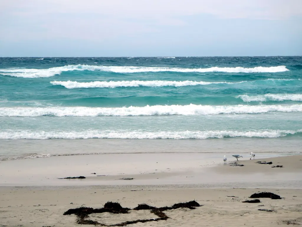 Meelup Beach, Naturaliste