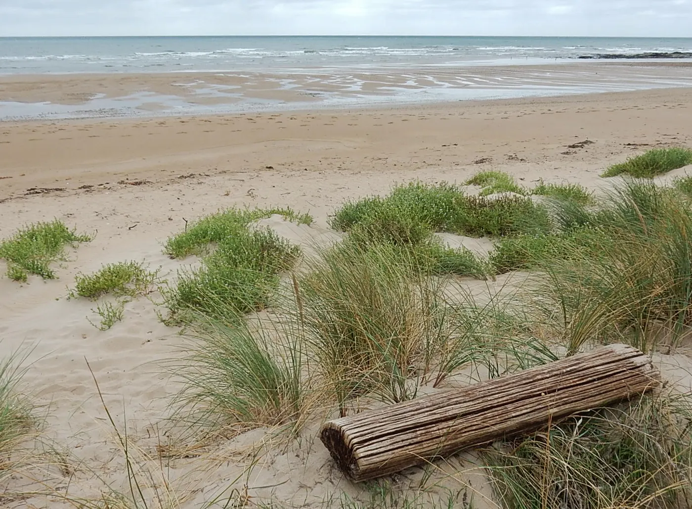 Buttons Beach, Ulverstone
