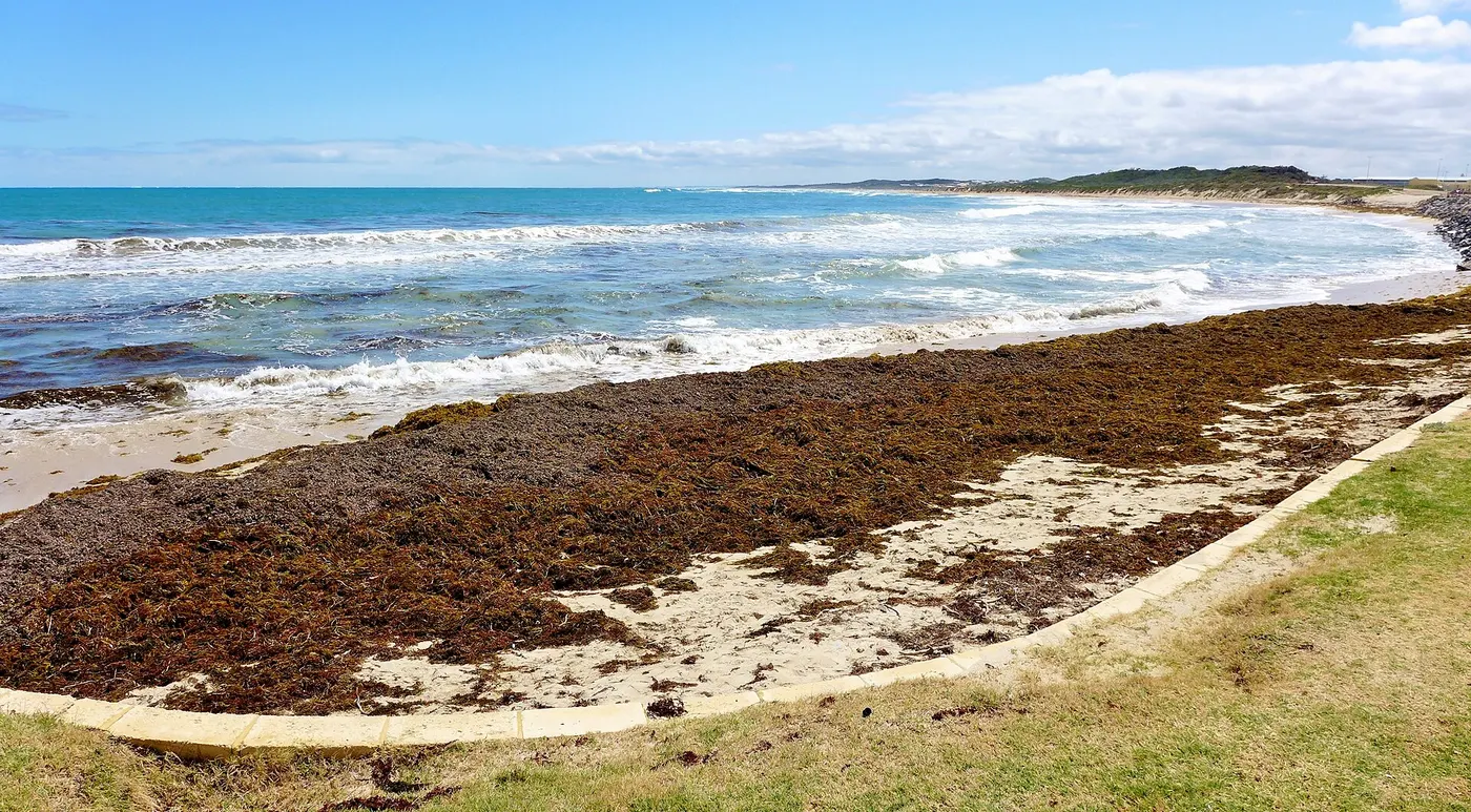 Granies beach, Port Denison