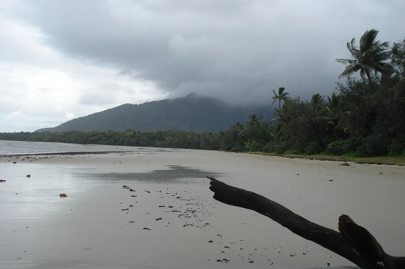 Myall Beach, Cape Tribulation