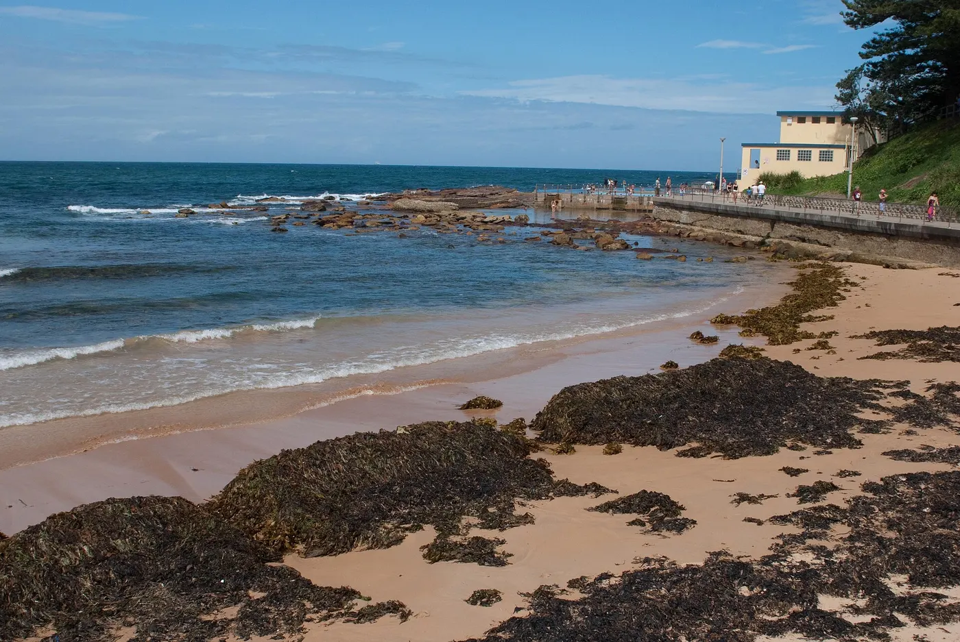 Dee Why Beach, Dee Why