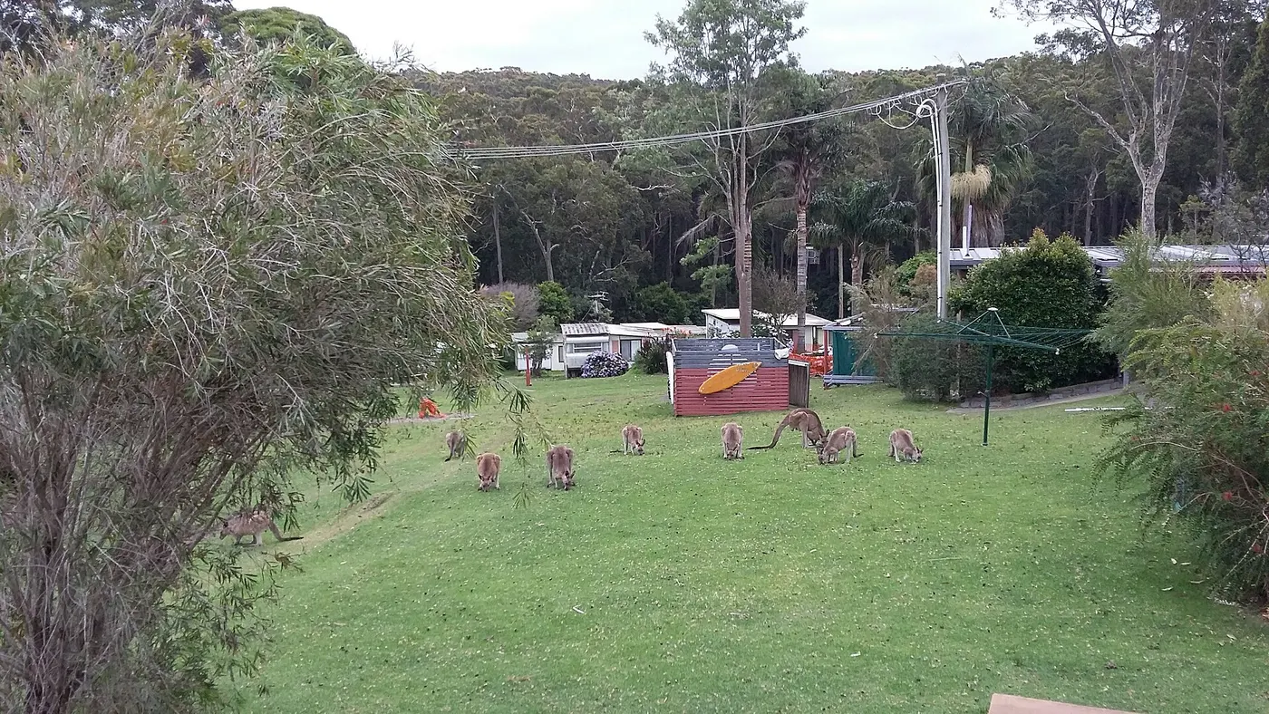 Durras Lake North Holiday Park, Durras North