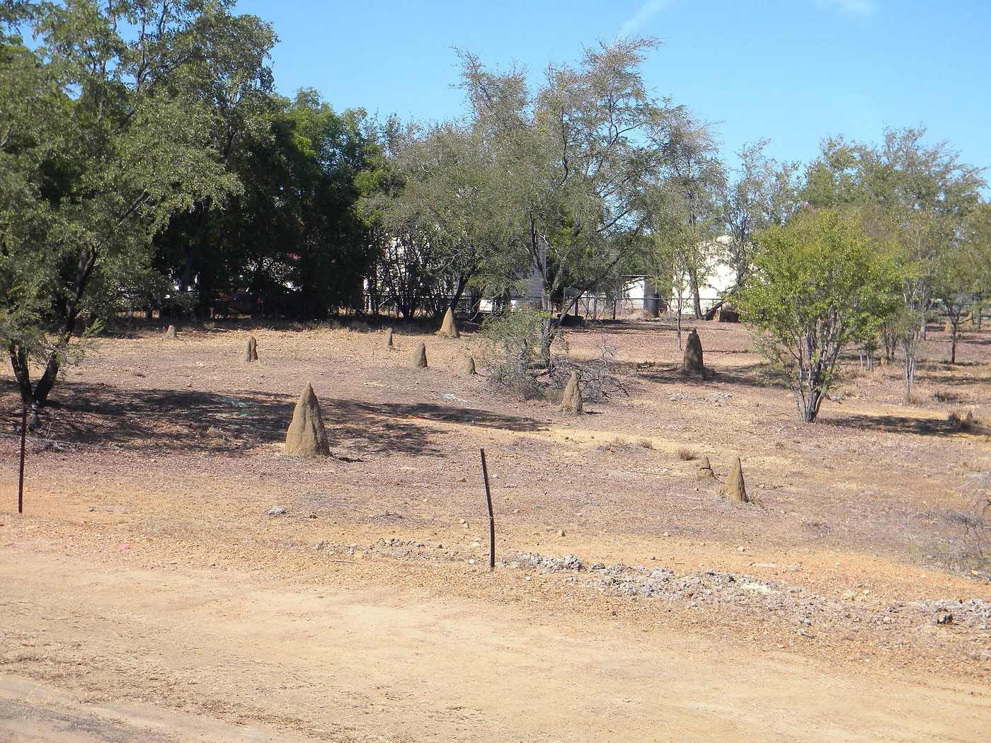 Midway Caravan Park, Georgetown