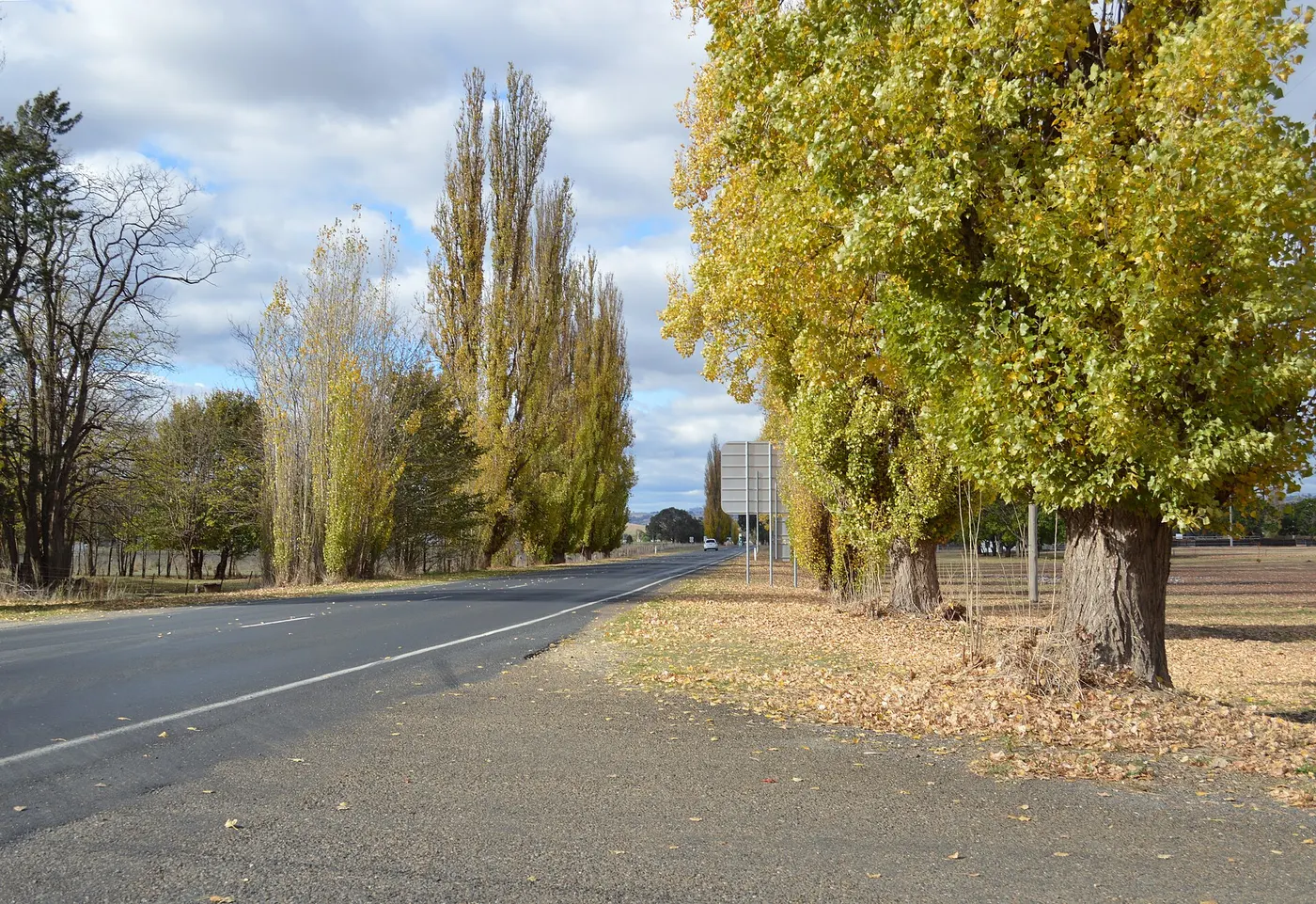 Jugiong Camping Reserve, Jugiong