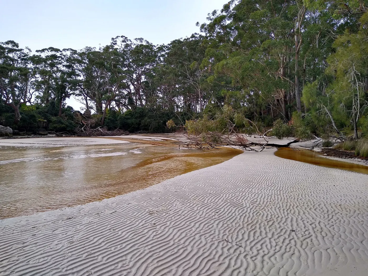 Greenpatch Camping Area, Jervis Bay