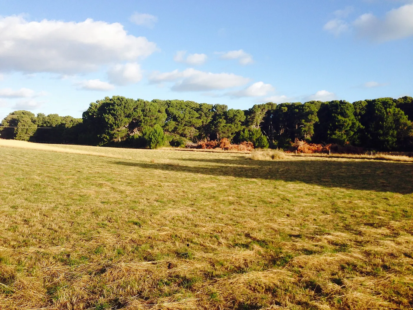 Hindmarsh Island Caravan Park, Hindmarsh Island