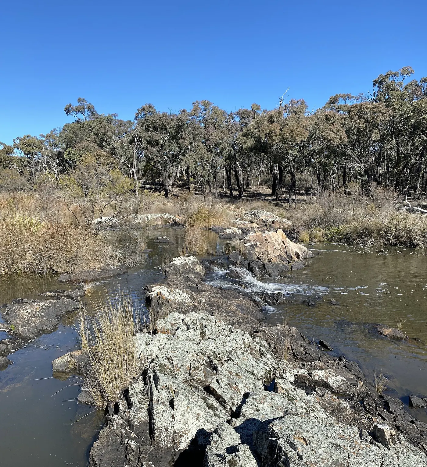 Ironbark Camping Area, Kings Plains