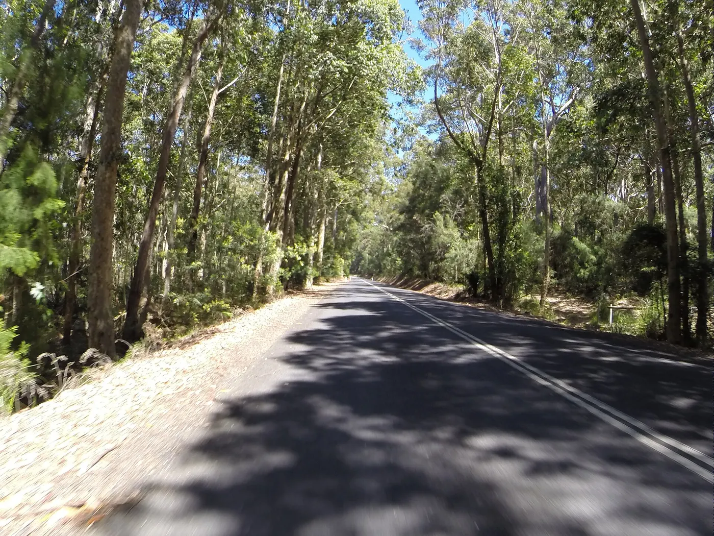 BIG4 South Durras Holiday Park, South Durras