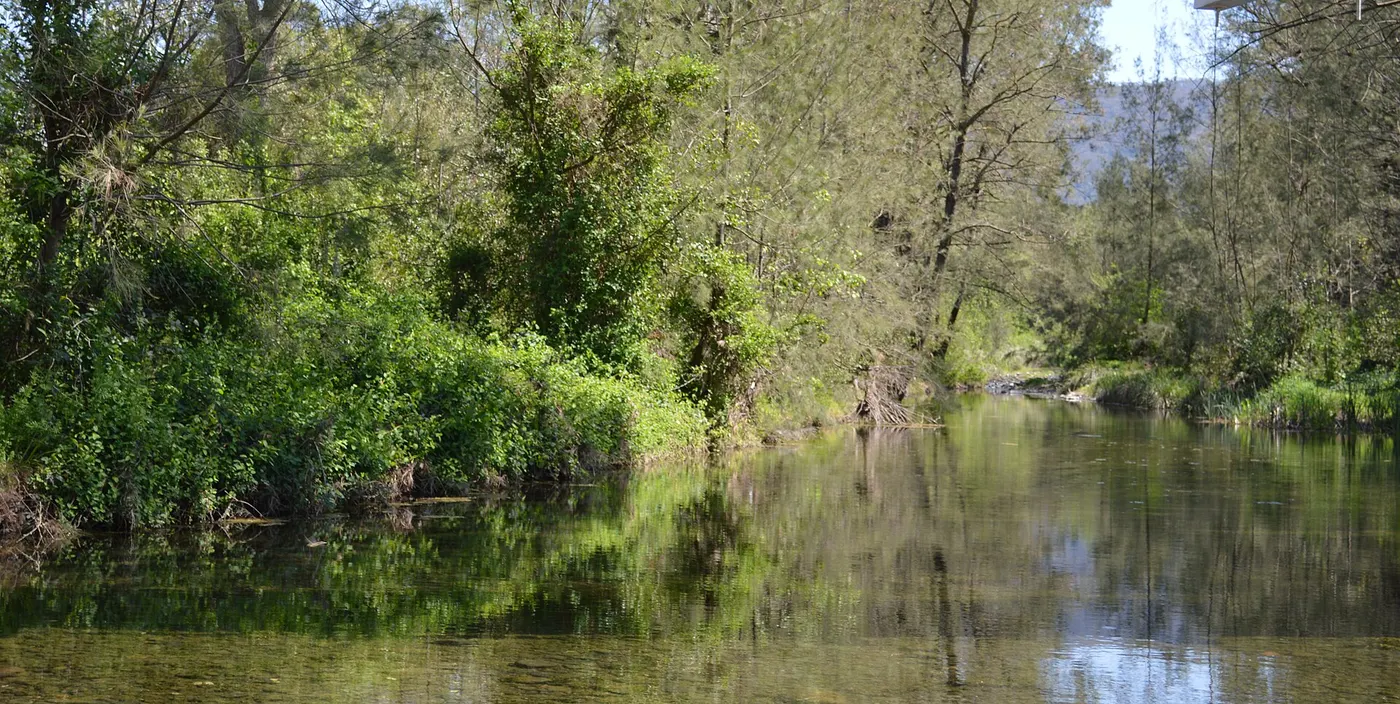 Pages River Caravan Park, Murrurundi