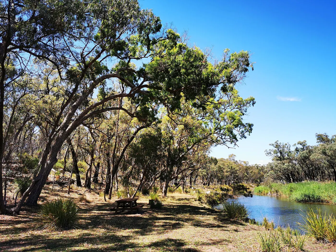 Kings Plains Creek Camping and Picnic Area, Kings Plains