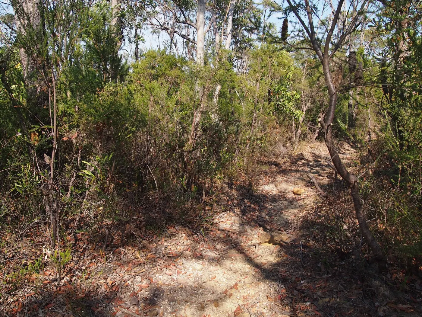Scout Camp Kariong, Kariong