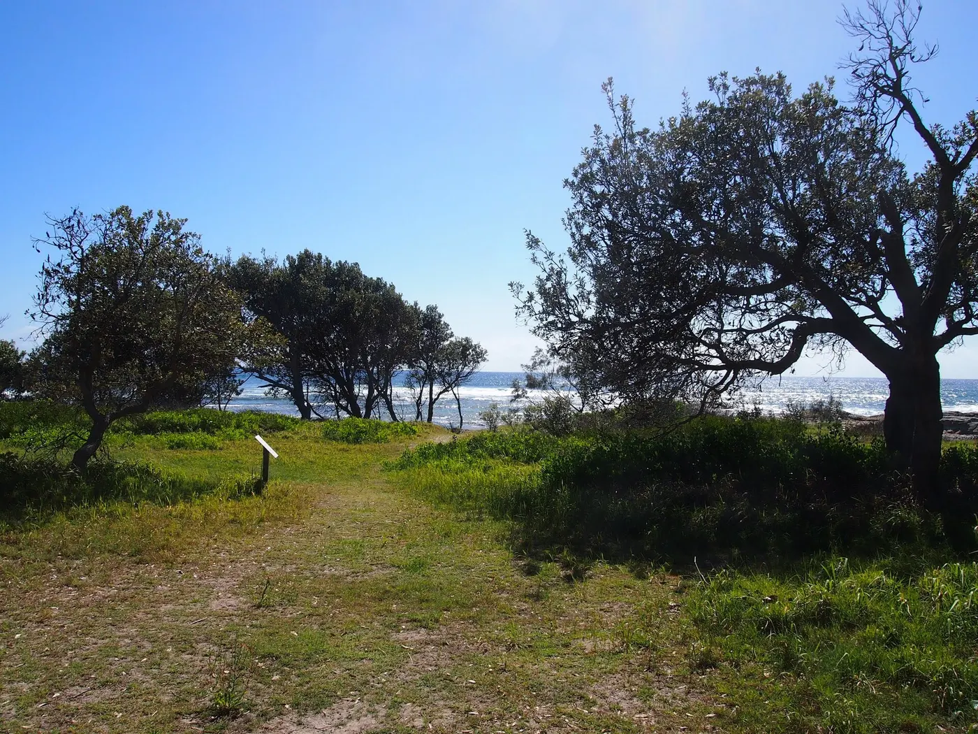 Shelley Headland camp, Yuraygir
