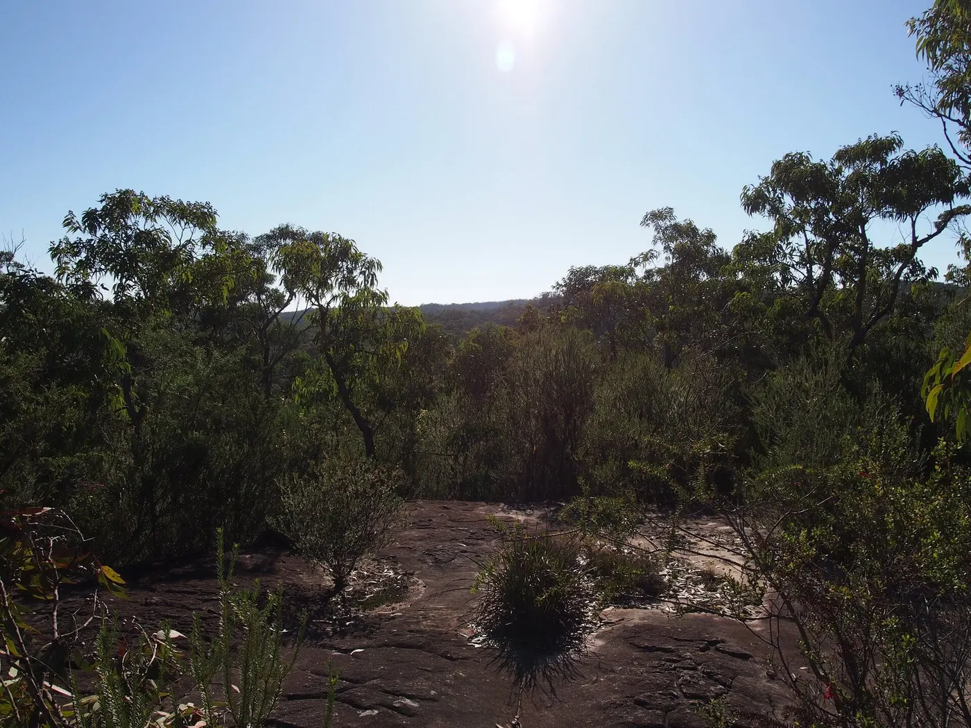 GNW Tommos campsite, Kariong