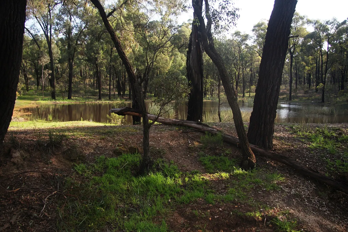 Camp Ground, Whroo
