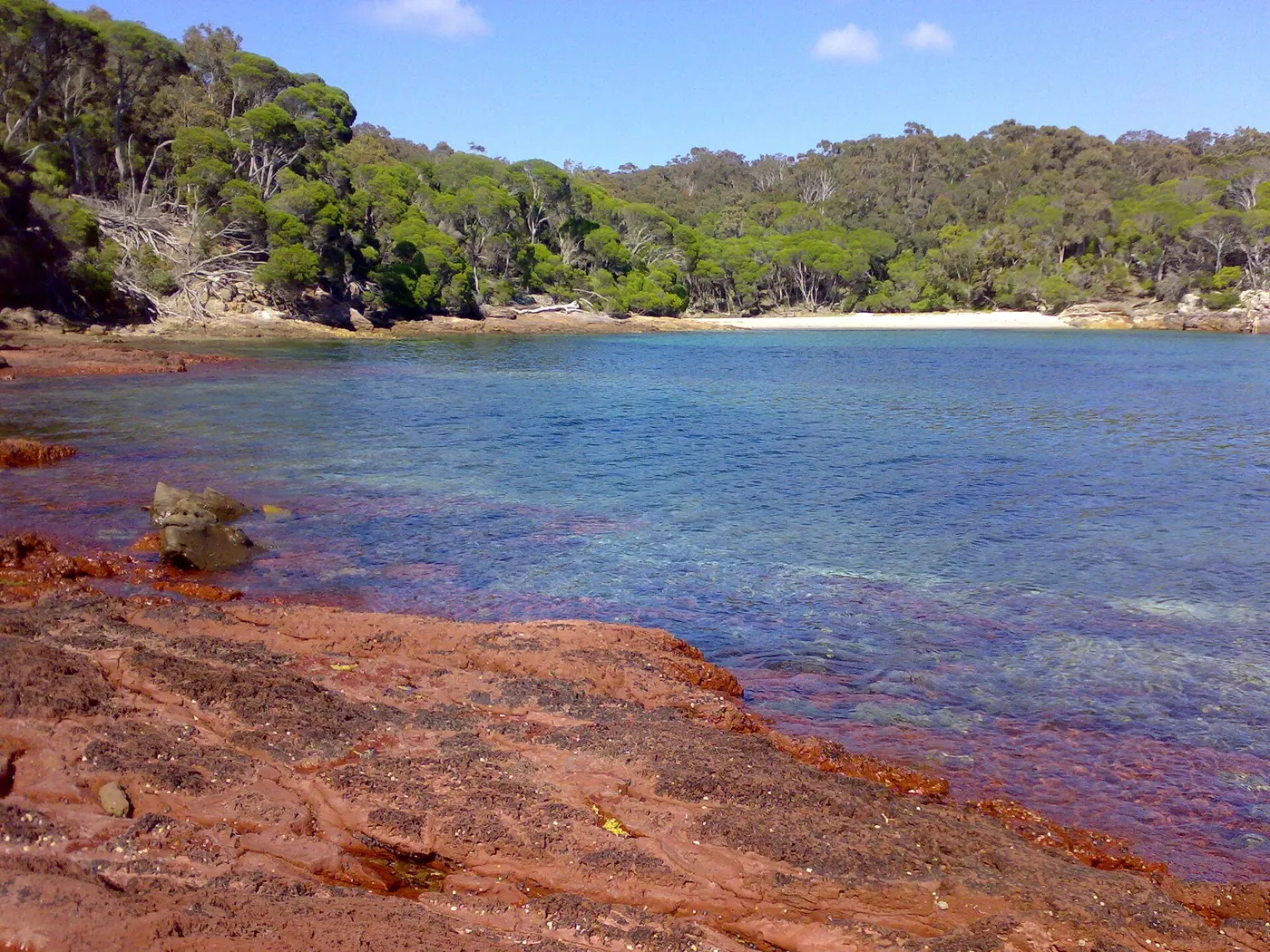 Bittangabee campground, Green Cape