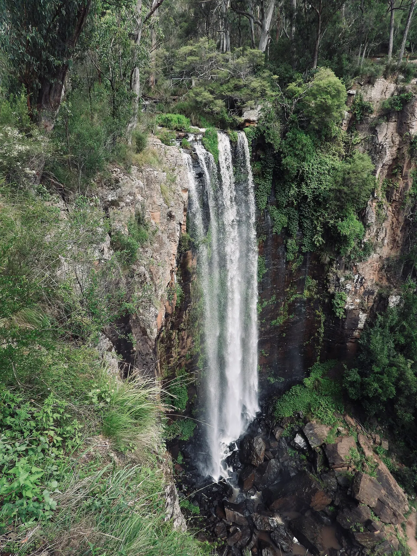 Queen Mary Falls Caravan Park, The Falls