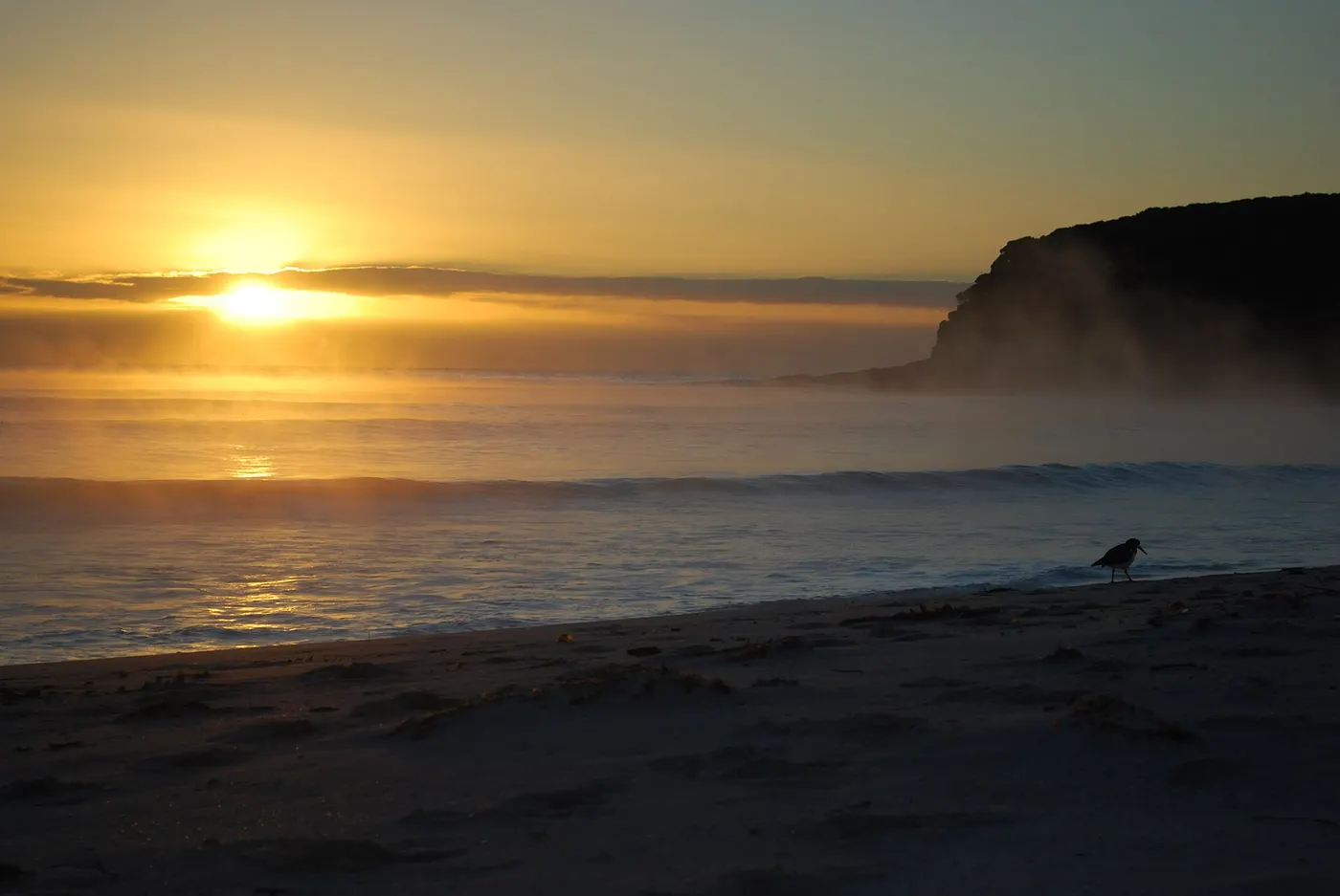 Saltwater Creek campground, Green Cape