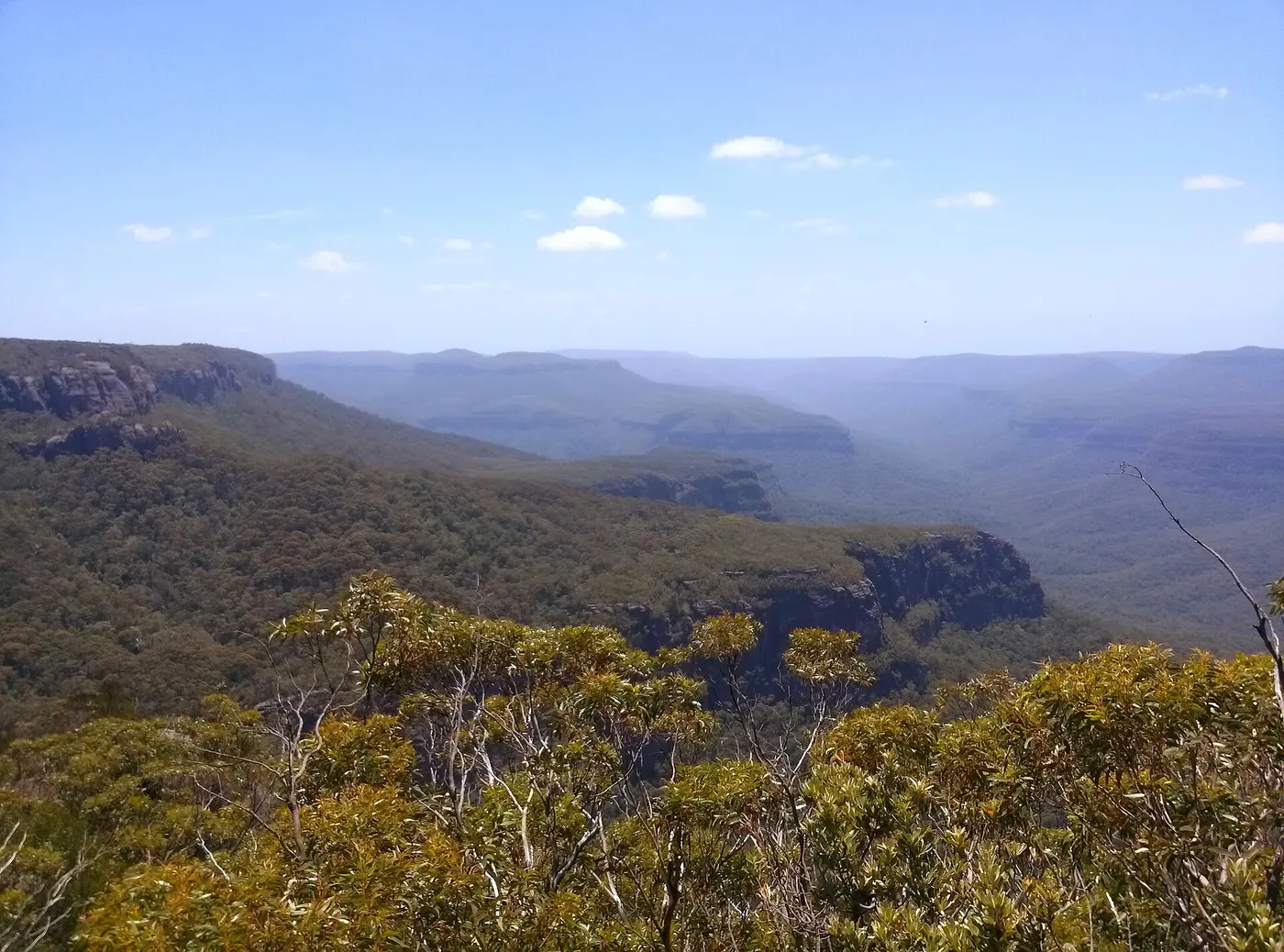 Cooyoyo Creek camp, Endrick