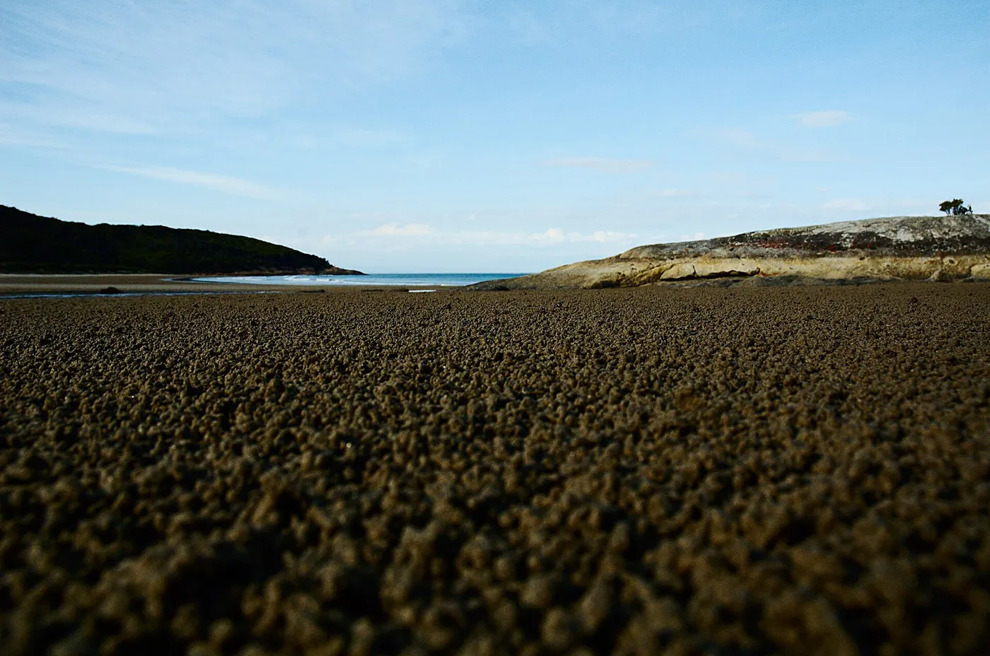 Johnny Souey Campground, Wilsons Promontory