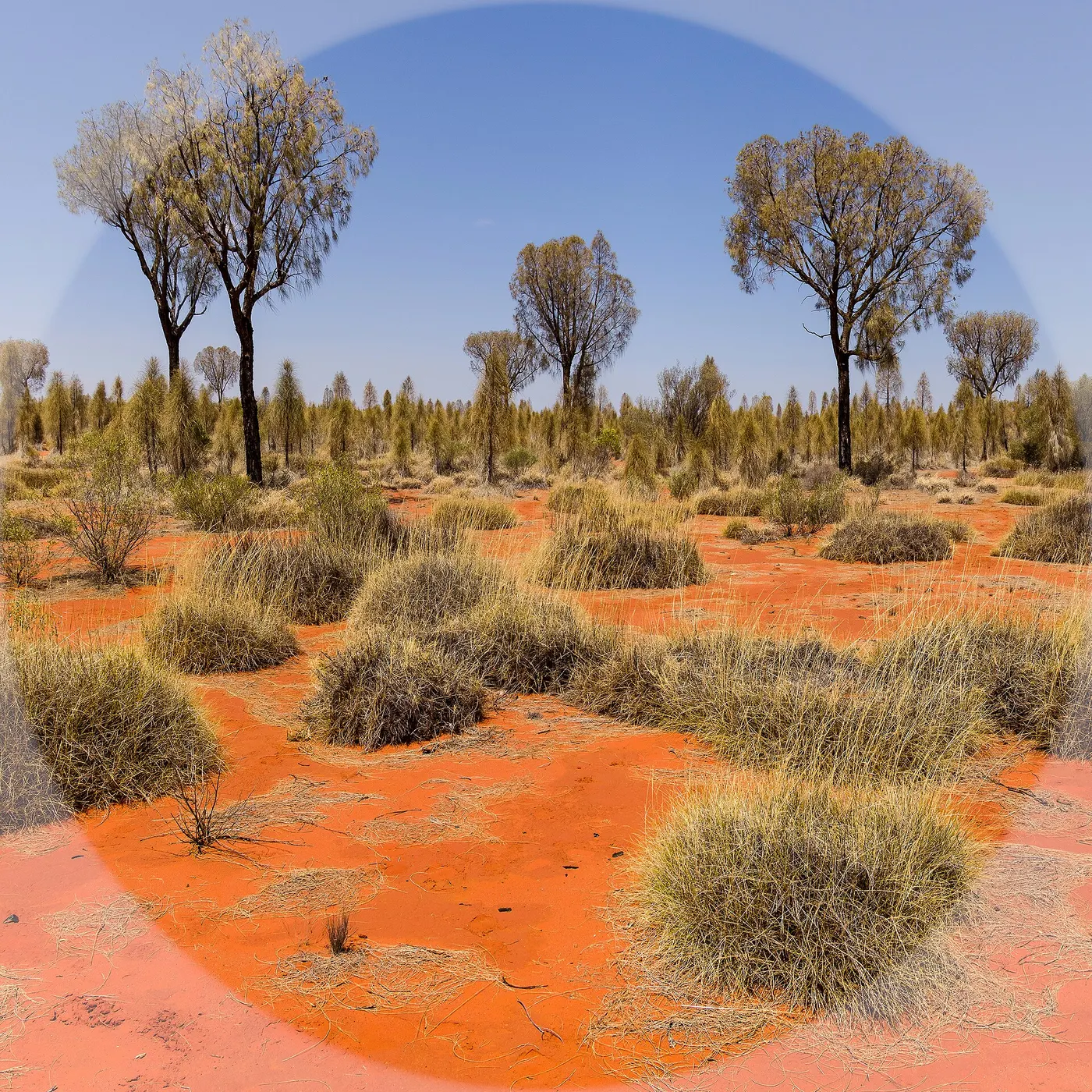 Curtin Springs East RA, Petermann