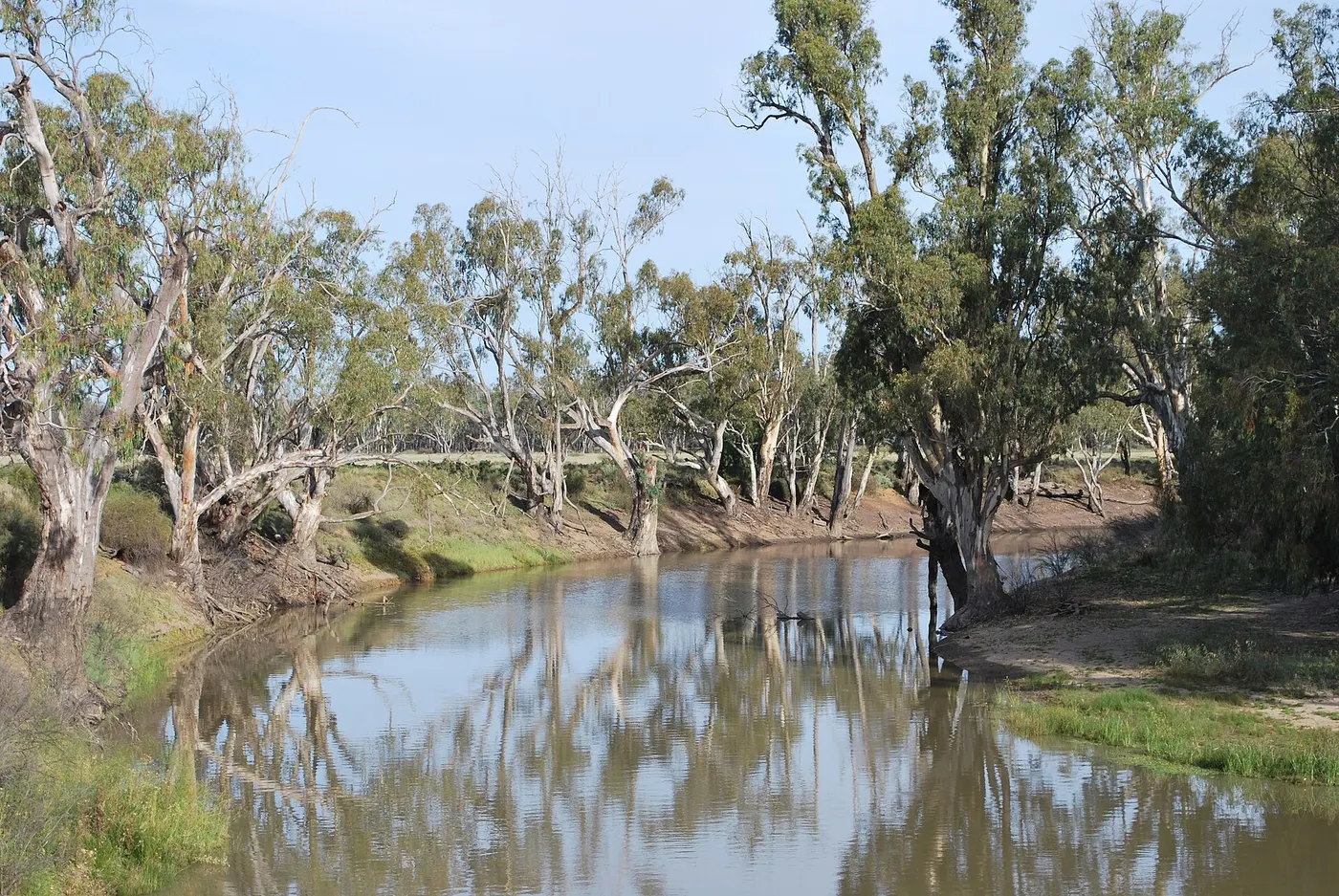 Pembengguk Children campground, Tullakool