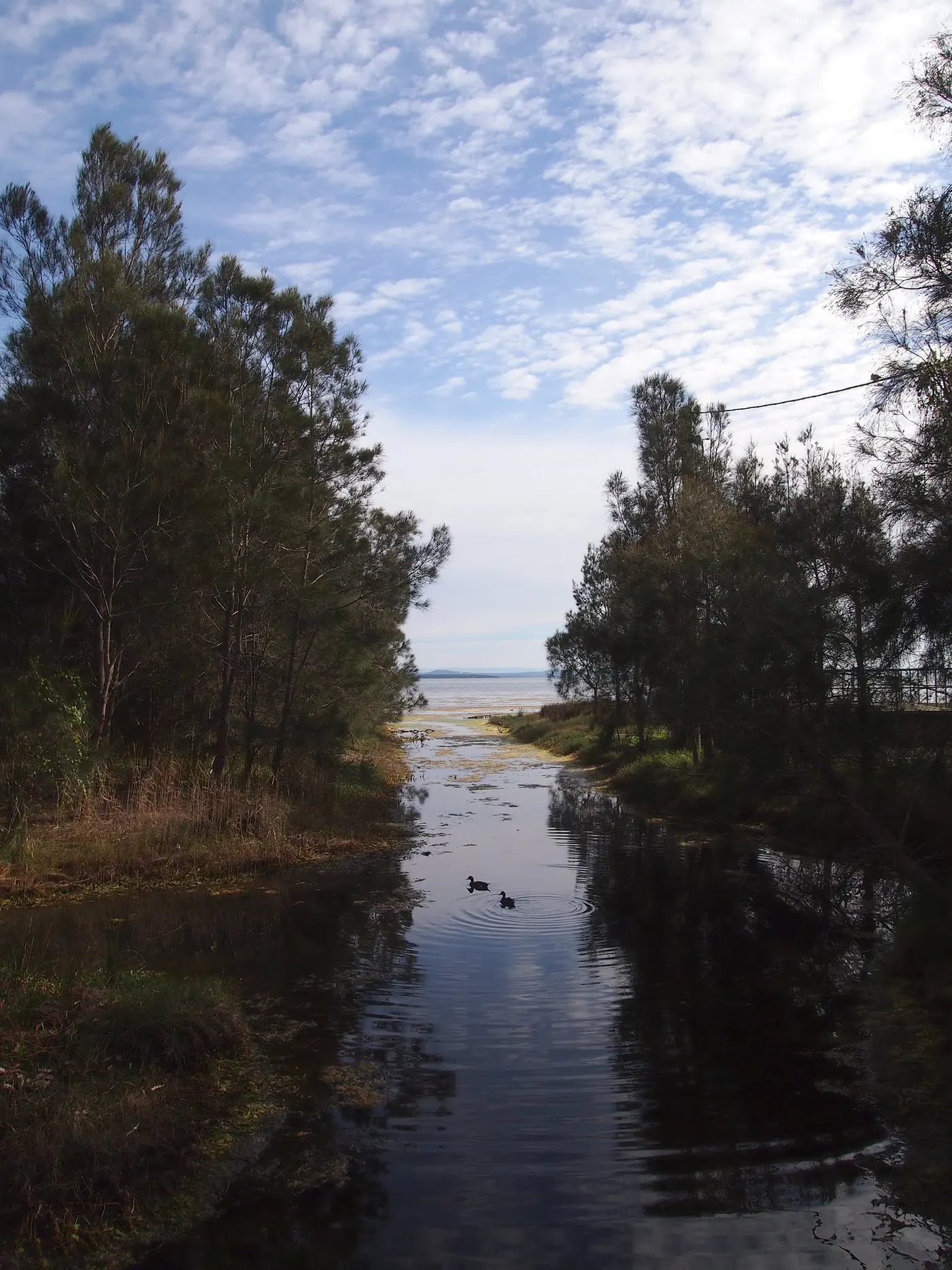 Lakeview Tourist Park, Long Jetty