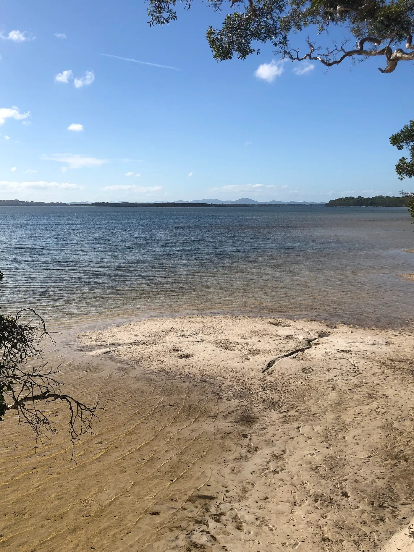 Camp Elim, Forster