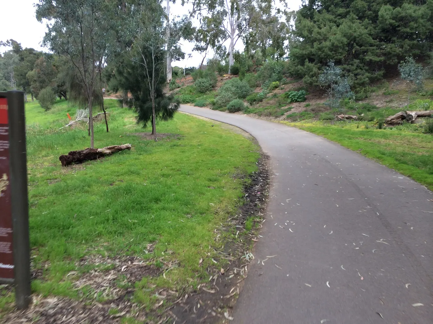Camping in Adelaide