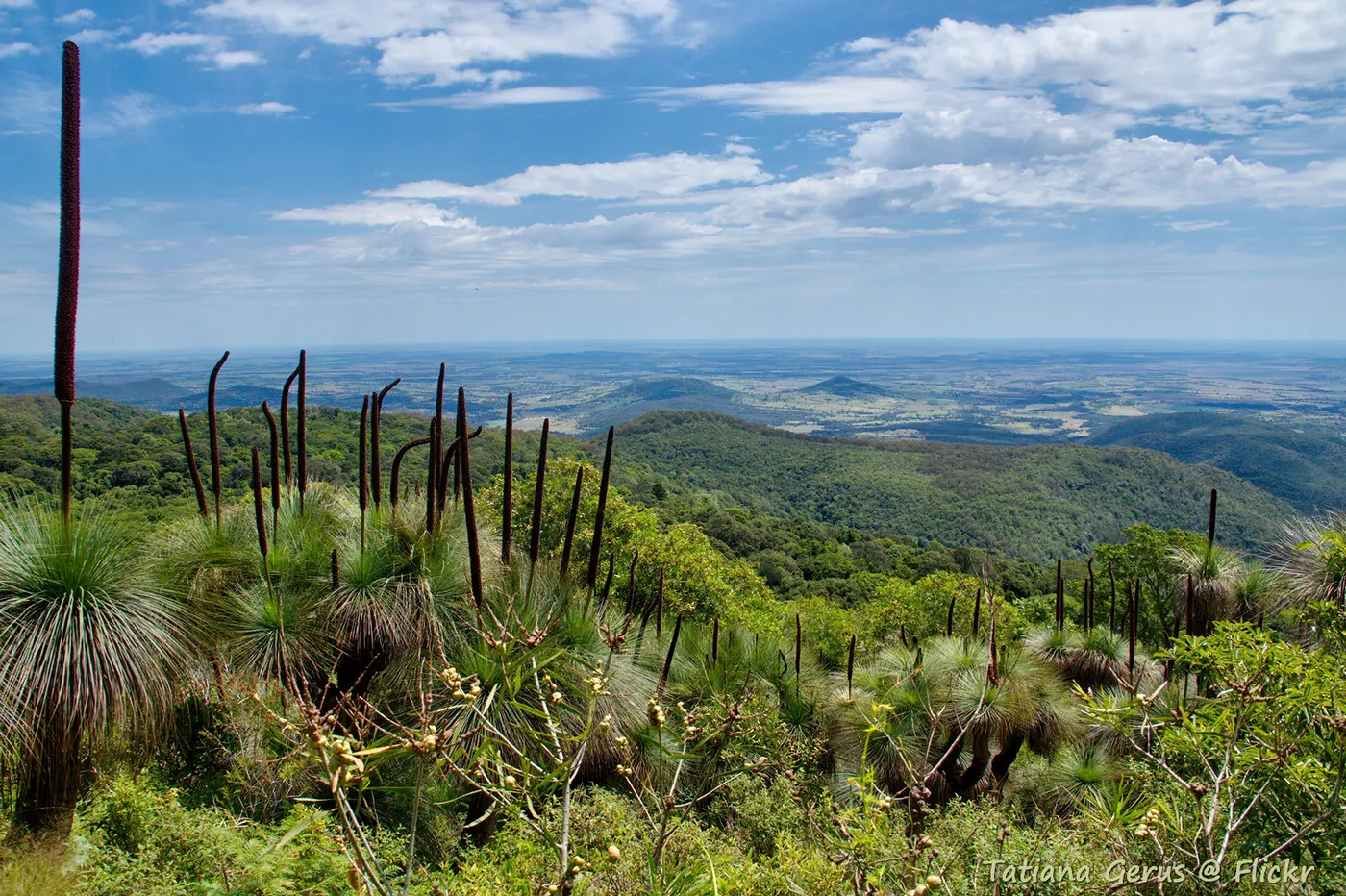 Burton's Well Camp Area, Bunya Mountains