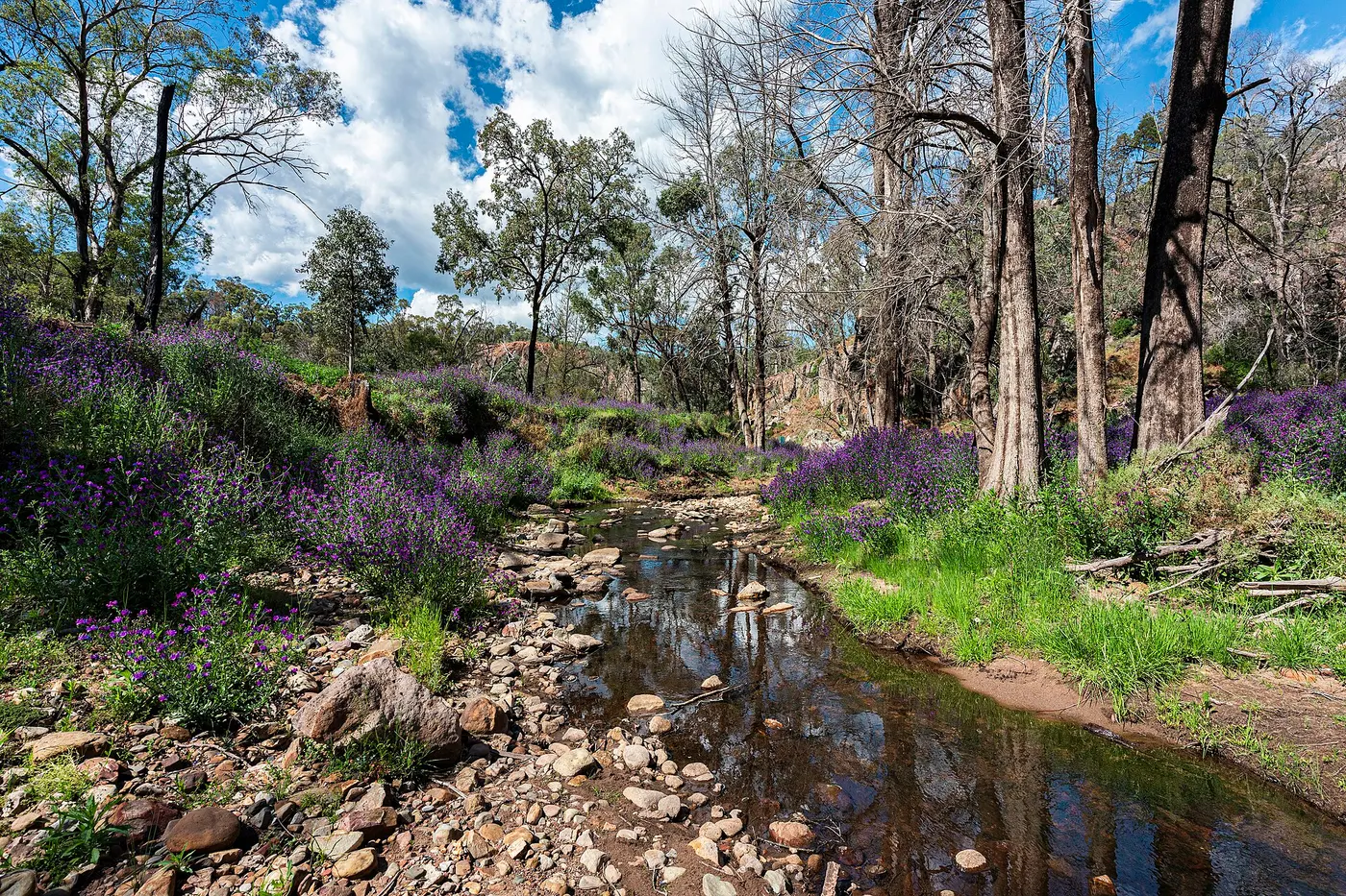 Camp Blackman 1, Warrumbungle