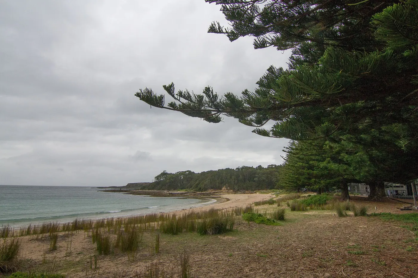 Murramarang Beachfront Nature Resort, South Durras