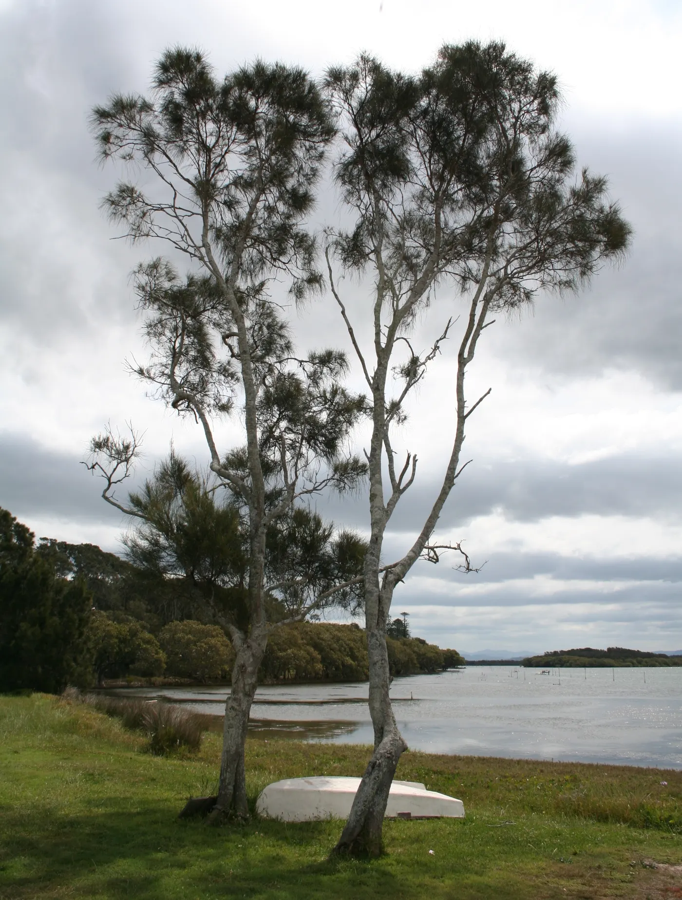 Weeroona Holiday Park, Manning Point