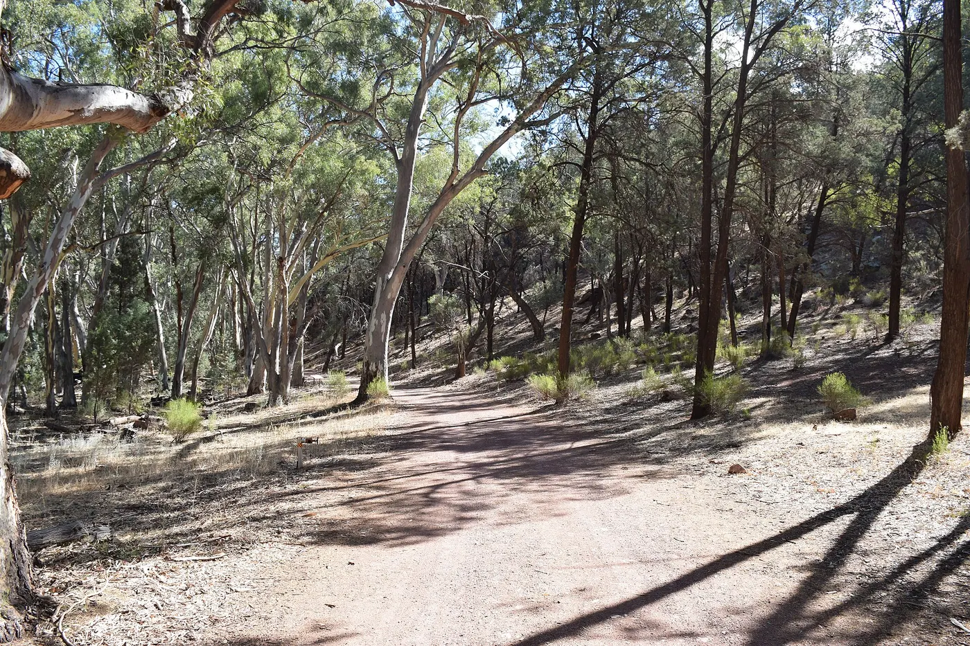 Wilpena Pound Resort Campground, Willow Springs